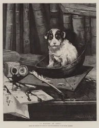 Ein Magister